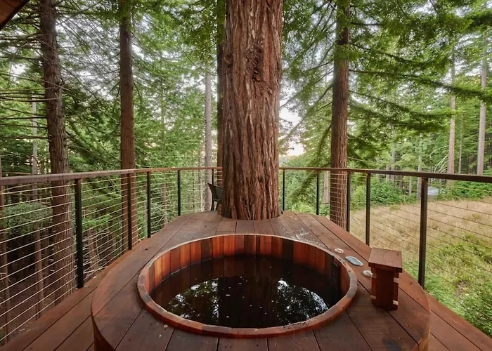 ~* The Spectacular Spyglass Treehouse *~